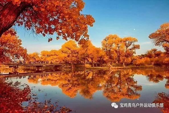 跳动的旋转球